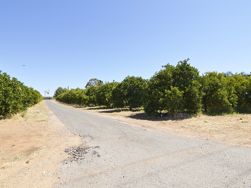 Lot 2, 115 Fenwick Road, Berri SA 5343