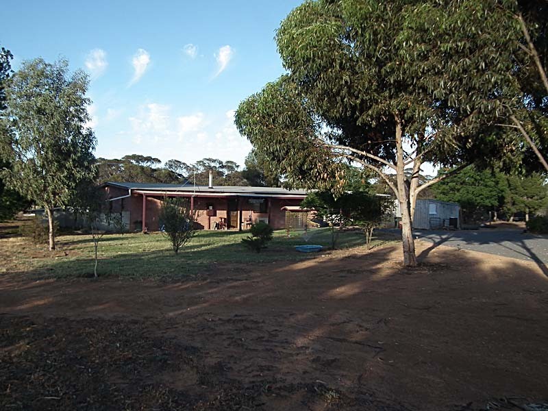 3313 Calder Highway, Nandaly VIC 3533