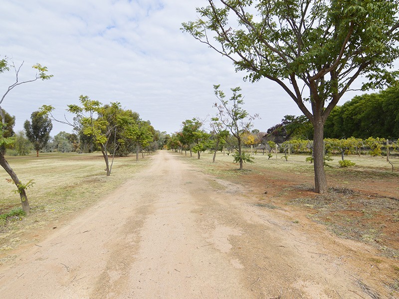 498 River Road, Dareton NSW 2717