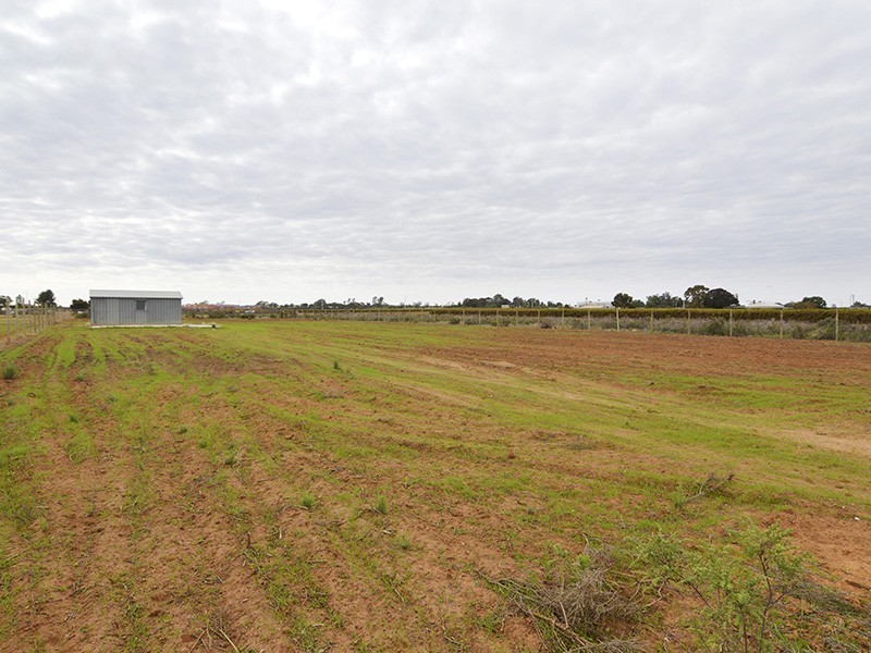 Lot 3 River Road, Dareton NSW 2717