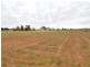 Lot 3 River Road, Dareton NSW 2717