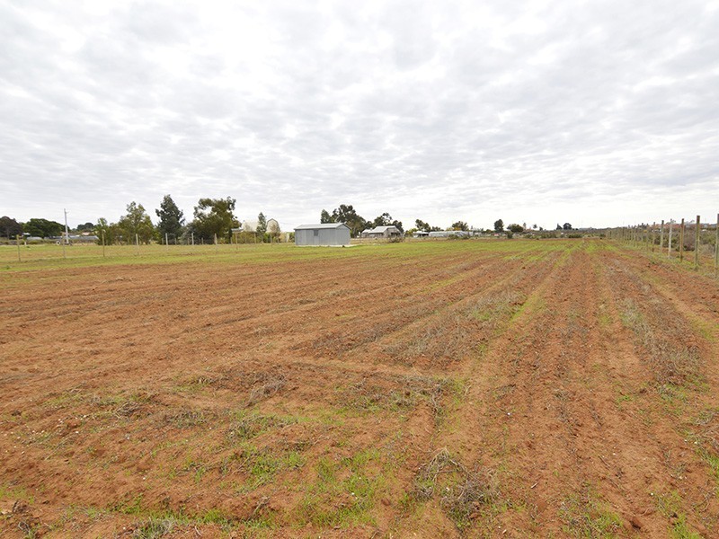 Lot 3 River Road, Dareton NSW 2717