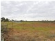 Lot 3 River Road, Dareton NSW 2717