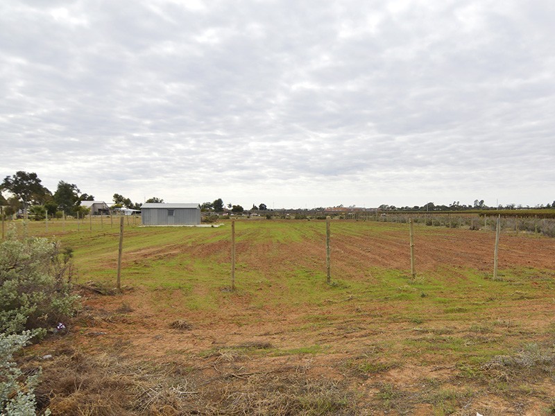 Lot 3 River Road, Dareton NSW 2717