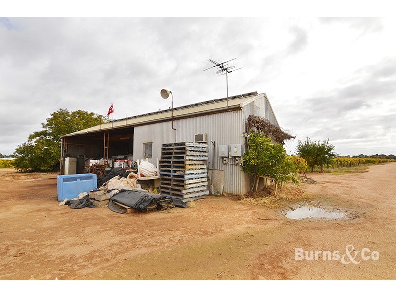 37 Fraser Drive, Merbein VIC 3505