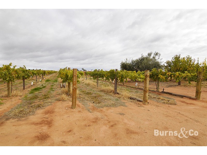 37 Fraser Drive, Merbein VIC 3505