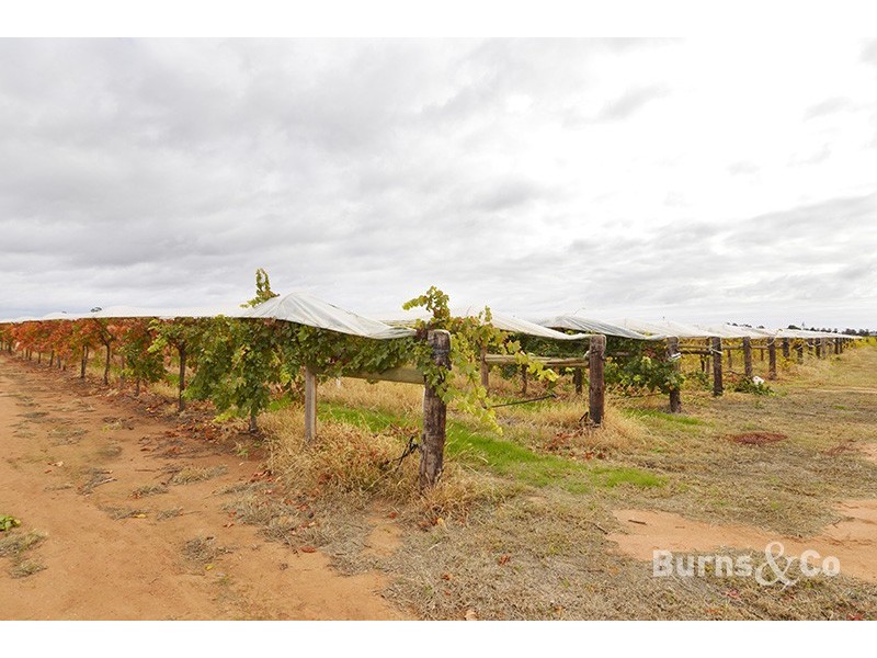 37 Fraser Drive, Merbein VIC 3505