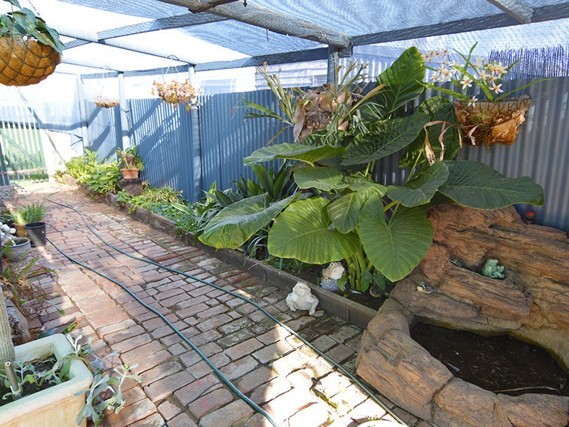 39 Mabel Avenue, Mildura VIC 3500