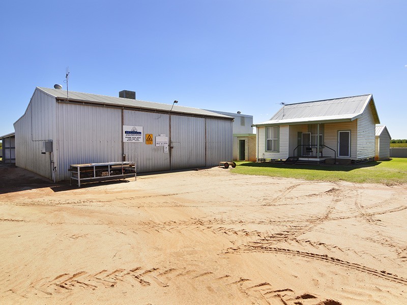 19 Pine Road, Gol Gol NSW 2738