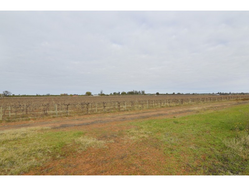 30 Yelta Road North, Merbein VIC 3505