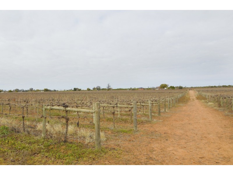 30 Yelta Road North, Merbein VIC 3505