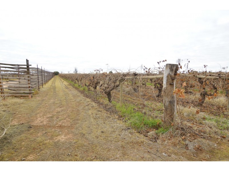 30 Yelta Road North, Merbein VIC 3505