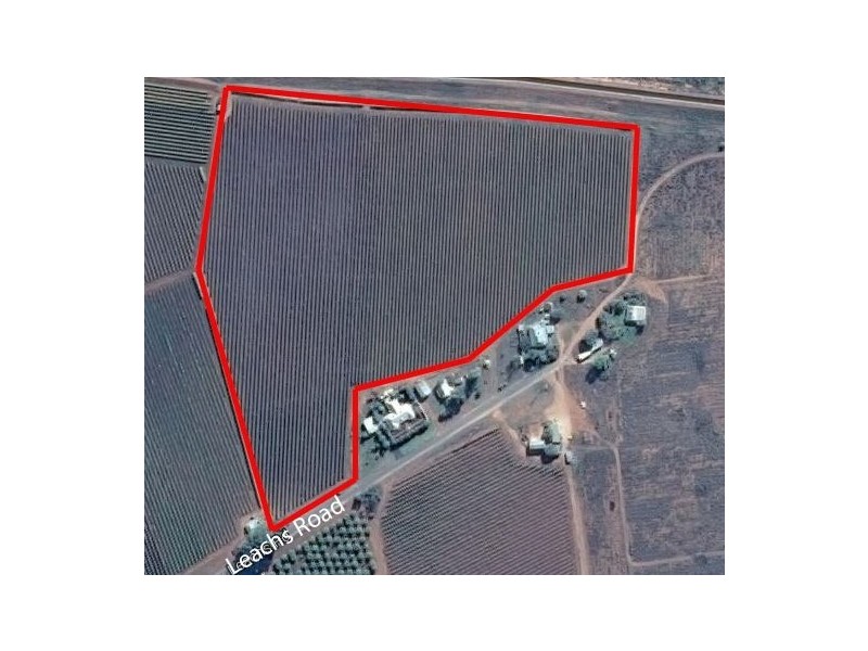 45 Leachs Road, Red Cliffs VIC 3496