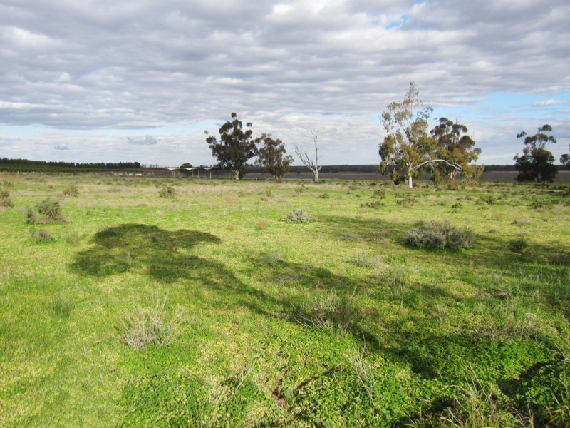 117 Happy Valley Landing Road, Robinvale VIC 3549