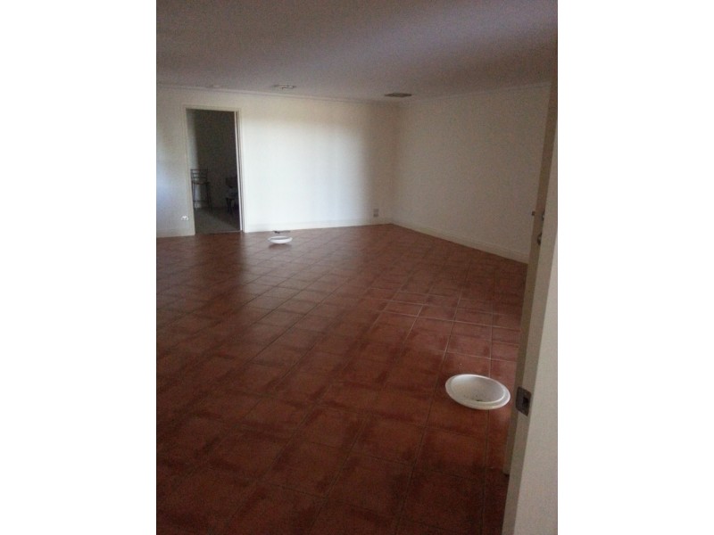 250 Pitman Ave, Gol Gol NSW 2738