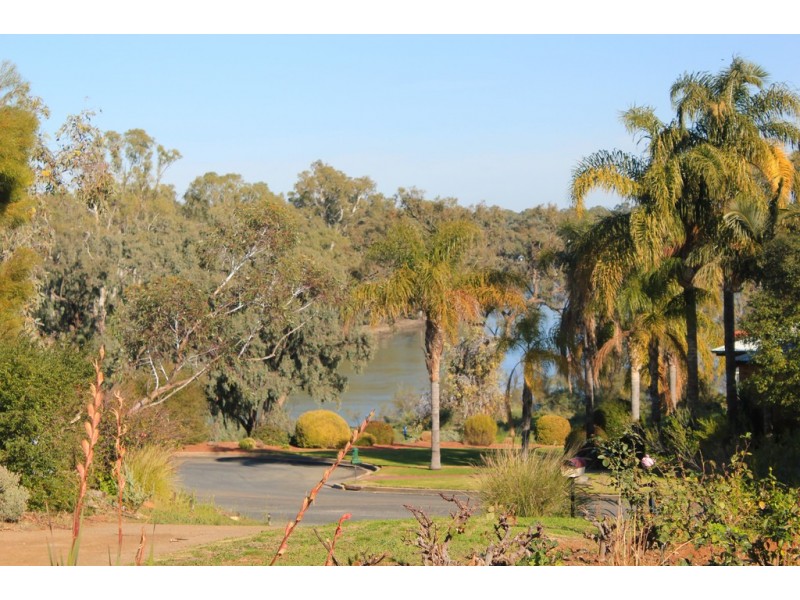39 Riverview Drive, Dareton NSW 2717