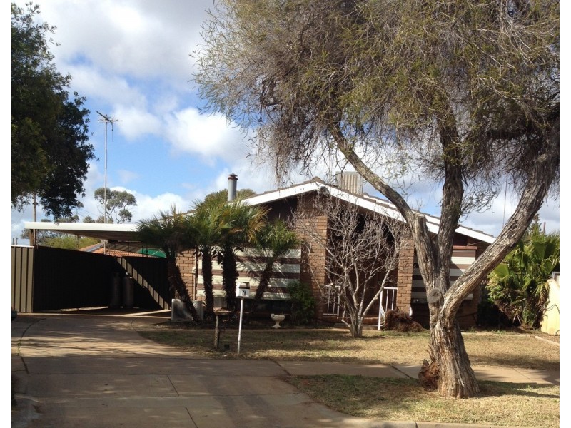 7 Vine Court, Robinvale VIC 3549