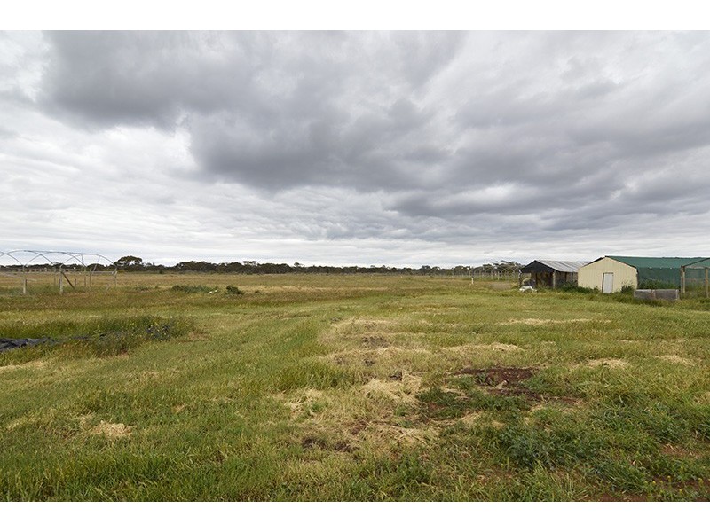 29 Koorlong Avenue, Cardross VIC 3496