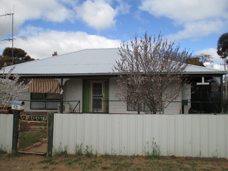 48 Hannon Street, Sea Lake VIC 3533