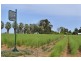 0 Mount Stewart Asparagus, Red Cliffs VIC 3496