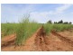 0 Mount Stewart Asparagus, Red Cliffs VIC 3496