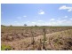 0 Mount Stewart Asparagus, Red Cliffs VIC 3496