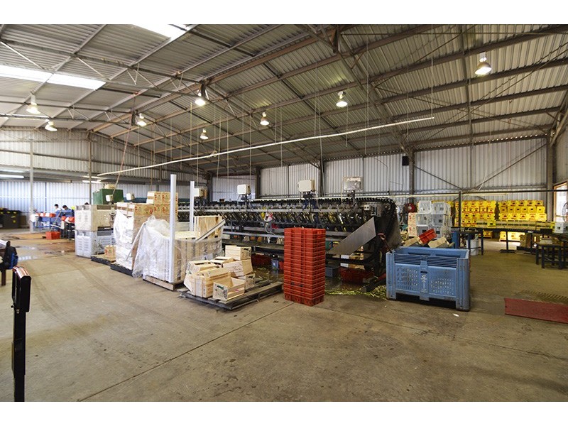 0 Mount Stewart Asparagus, Red Cliffs VIC 3496