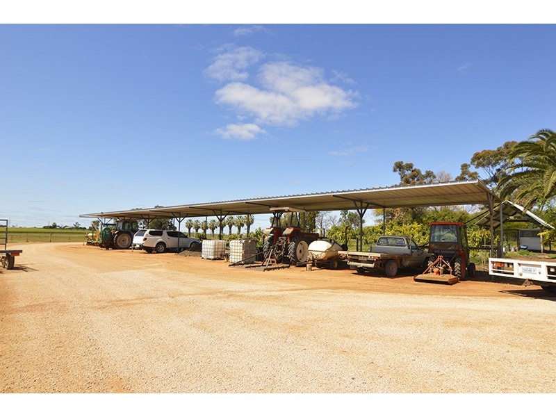 0 Mount Stewart Asparagus, Red Cliffs VIC 3496