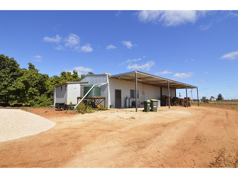 0 Mount Stewart Asparagus, Red Cliffs VIC 3496