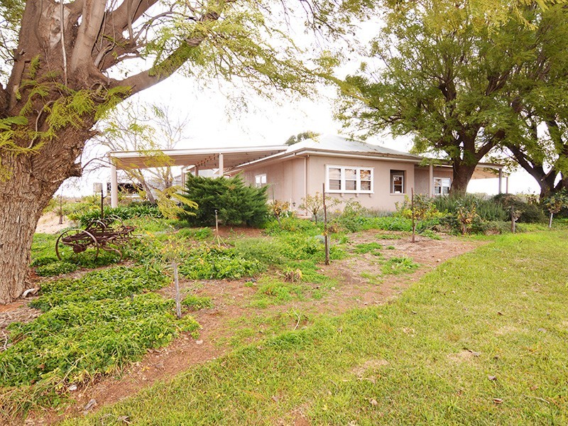 175 Keenans Drive, Dareton NSW 2717