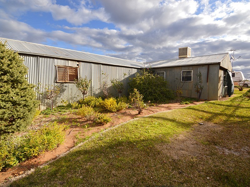 175 Keenans Drive, Dareton NSW 2717