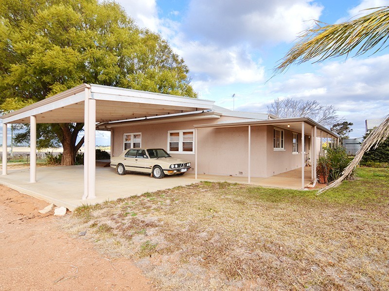 175 Keenans Drive, Dareton NSW 2717