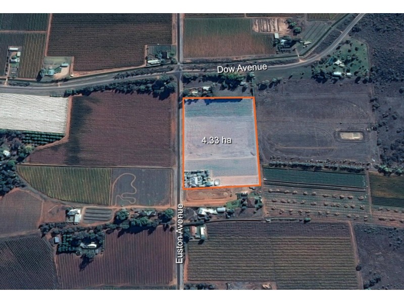 169 Euston Avenue, Irymple VIC 3498