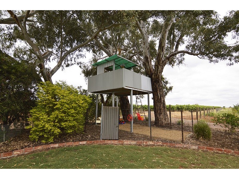 111 Mena Road, Birdwoodton VIC 3505