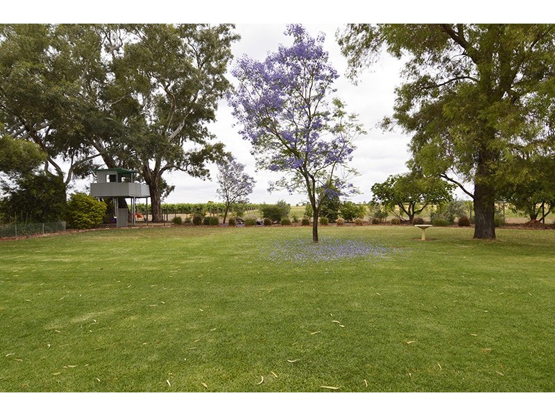 111 Mena Road, Birdwoodton VIC 3505