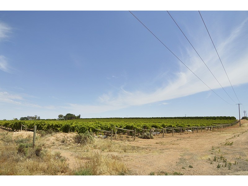 Block 43 Cowanna Avenue, Merbein VIC 3505