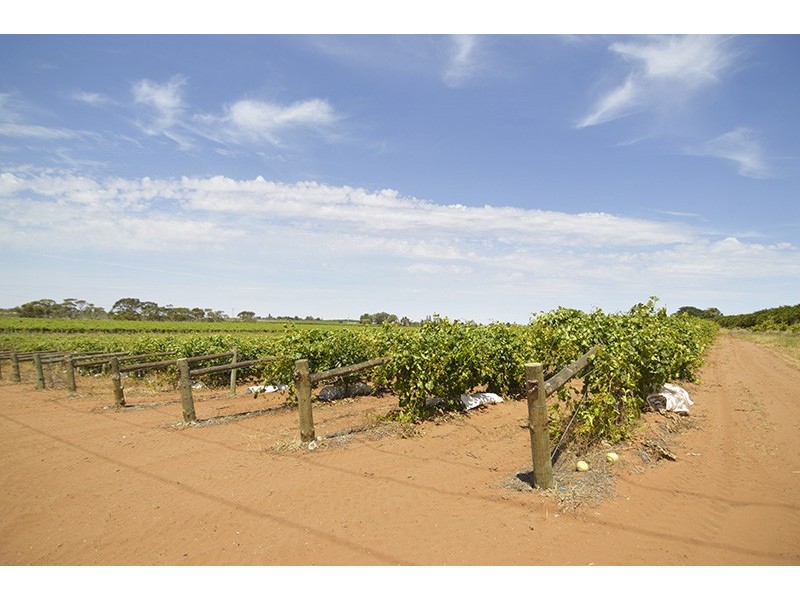 Block 43 Cowanna Avenue, Merbein VIC 3505