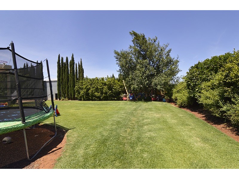 61 Barndeet Avenue, Red Cliffs VIC 3496