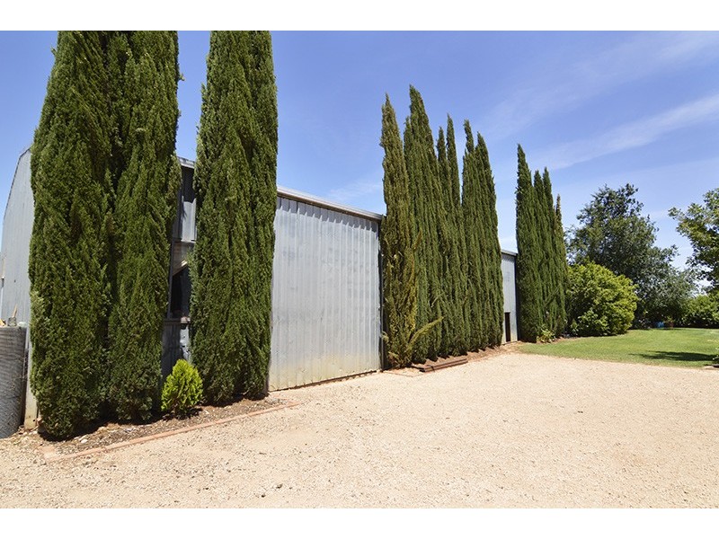 61 Barndeet Avenue, Red Cliffs VIC 3496