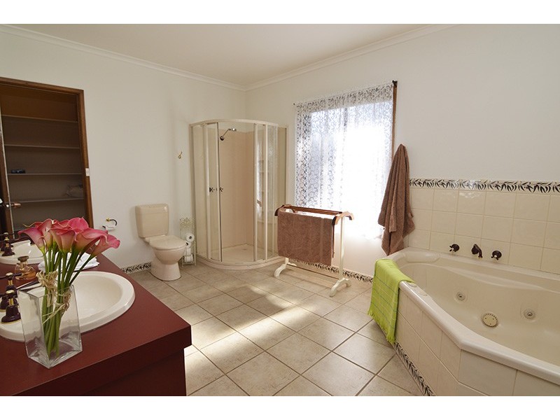 20 Elouera Drive, Irymple VIC 3498