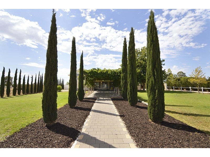 477 Sandilong Avenue, Irymple VIC 3498