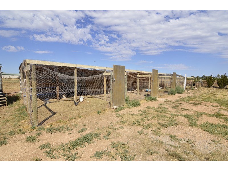 477 Sandilong Avenue, Irymple VIC 3498