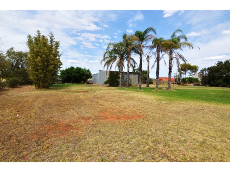 58 Hollins Road, Red Cliffs VIC 3496