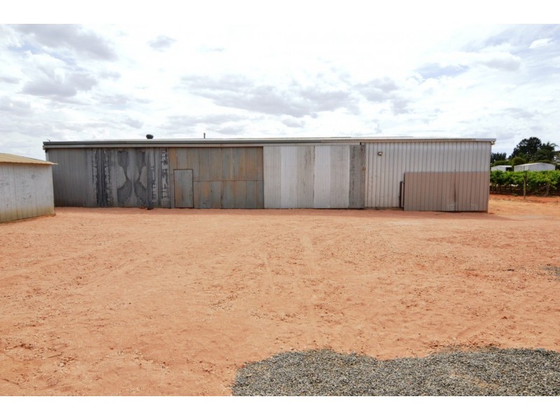 58 Hollins Road, Red Cliffs VIC 3496