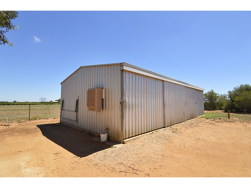 62 Quandong Avenue, Merbein VIC 3505