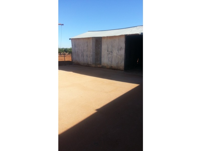 369 Citrus Drive, Dareton NSW 2717