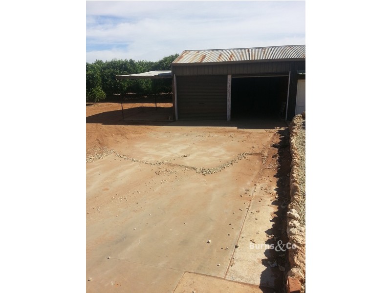 366 Grazies Grove, Dareton NSW 2717