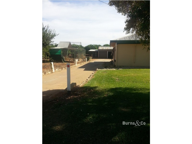 366 Grazies Grove, Dareton NSW 2717