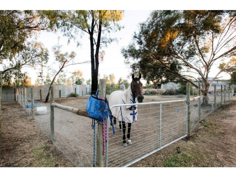 110 Cootamundra Avenue, Red Cliffs VIC 3496