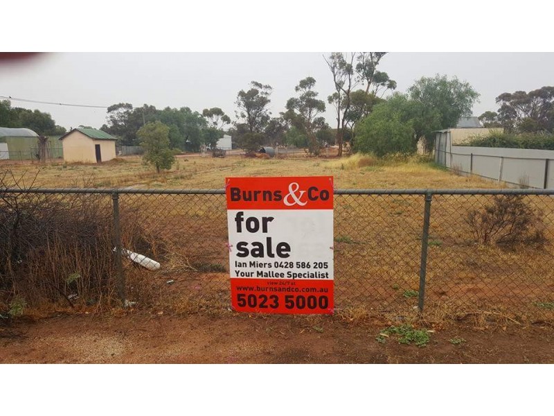 117-119 Horace Street, Sea Lake VIC 3533